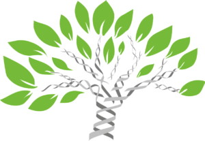 DNA Family Trees